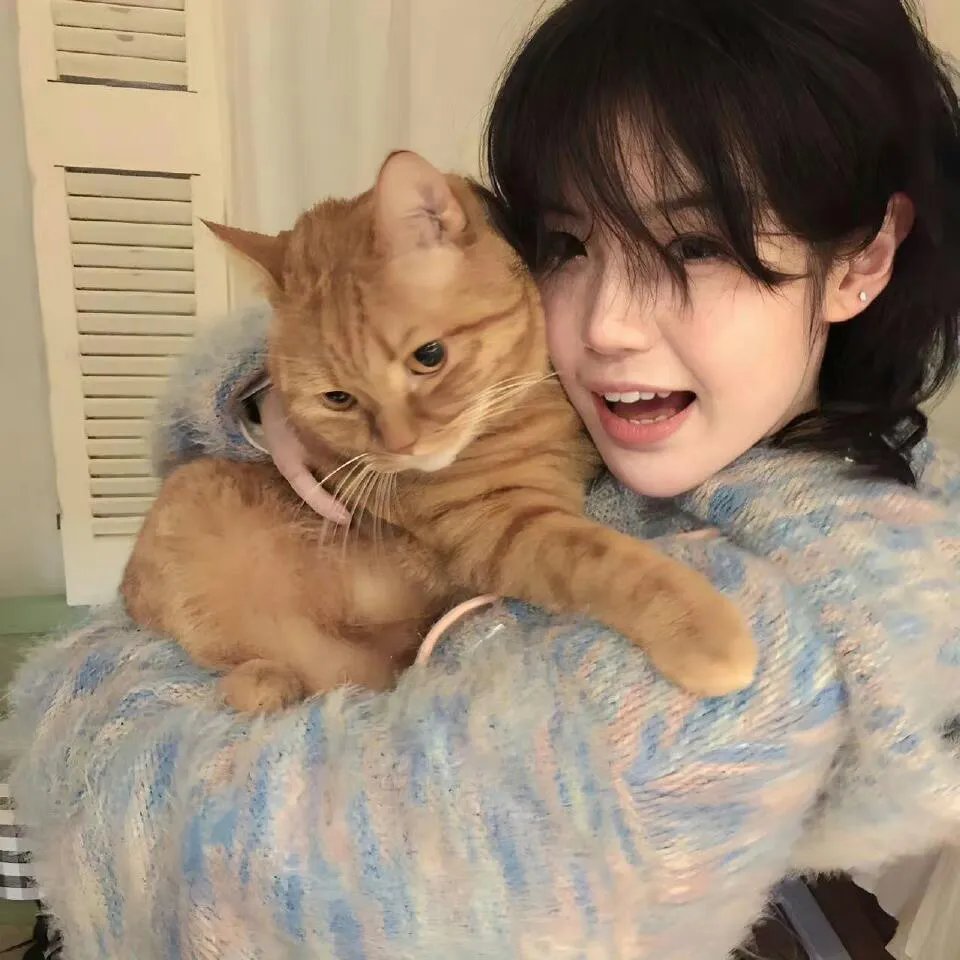 极主夫道 爆笑！找碴SP